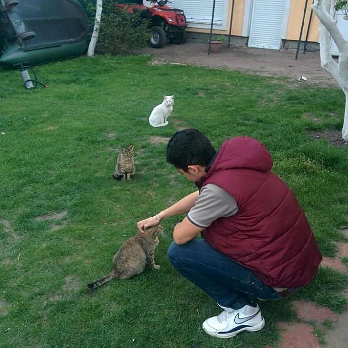 ..treat women like a cat ....