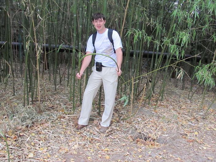 ломаю бамбук