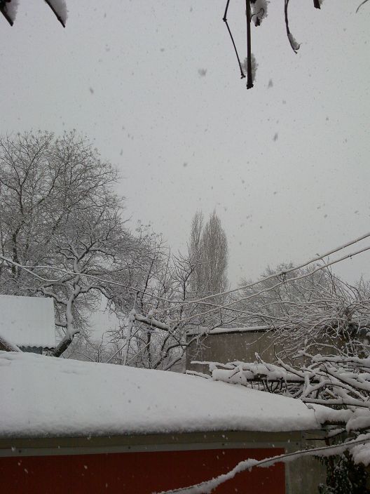 хочу секса и зимой!