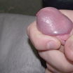 Cock