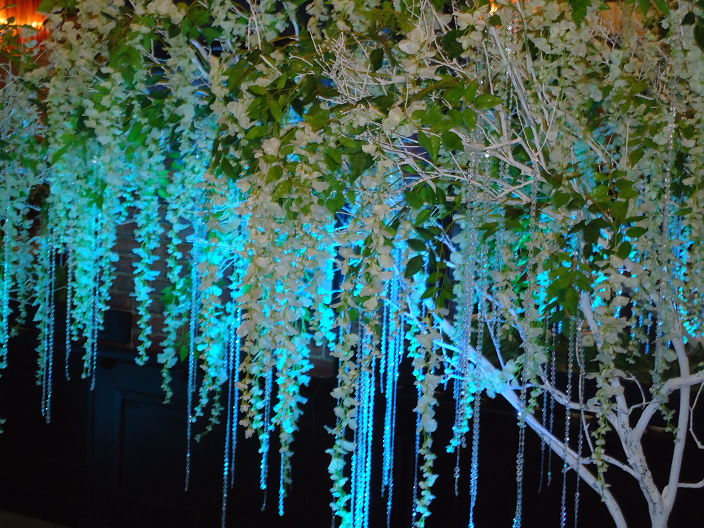 Я из Ульяновска