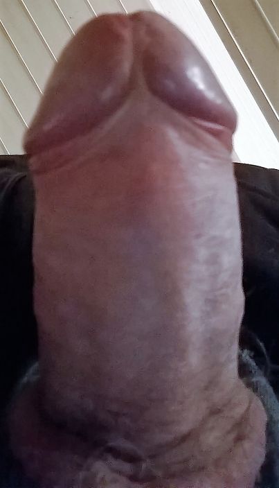 my cock