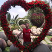 YGHJI