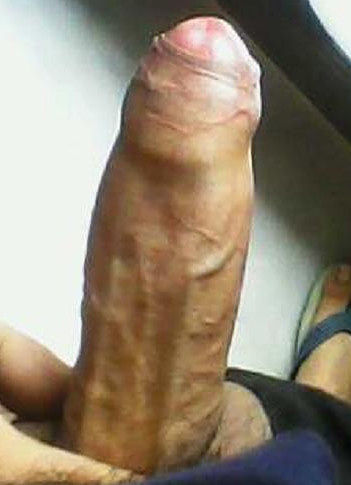 my cock