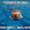1вык