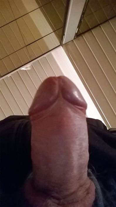 my cock