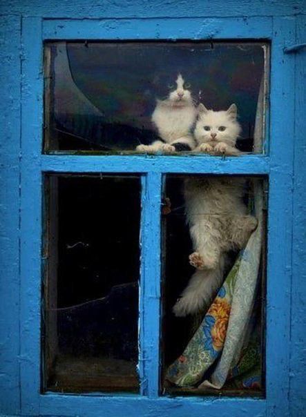 Жду))
