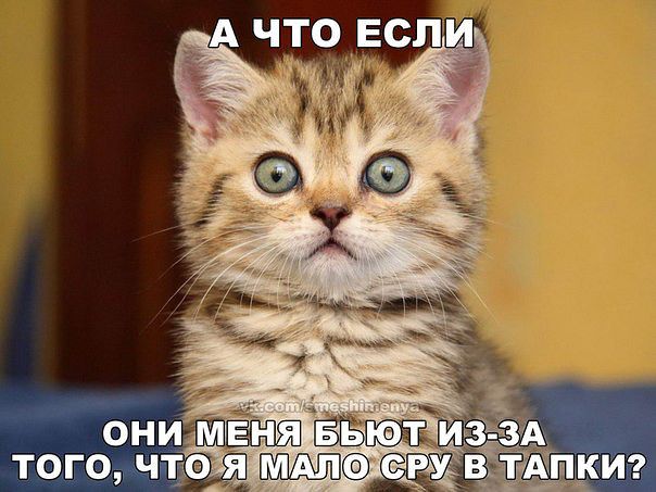 На меня вроде похож :)))))