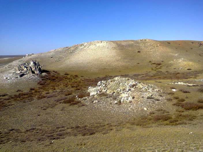 красота