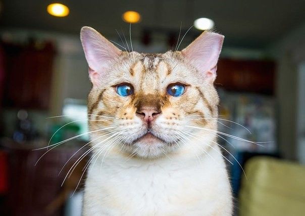 777