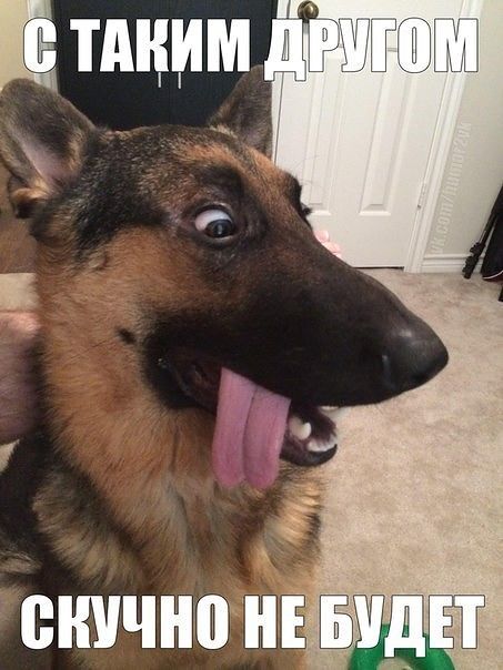 хочу