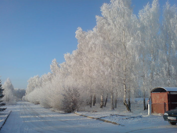 огриииииттлоьл
