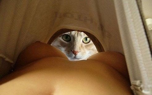 ОПА