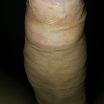 Hard