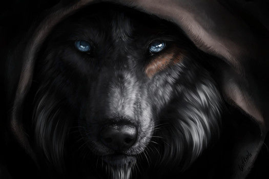 Wolfy