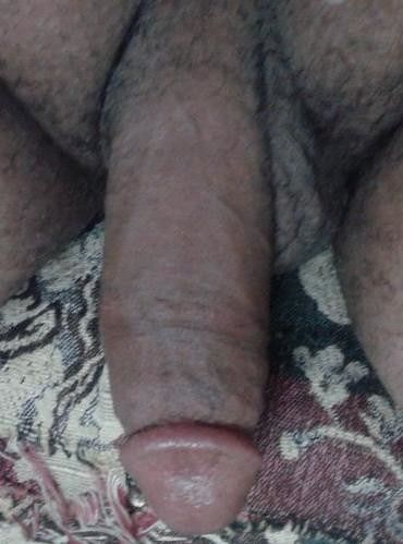 my cock