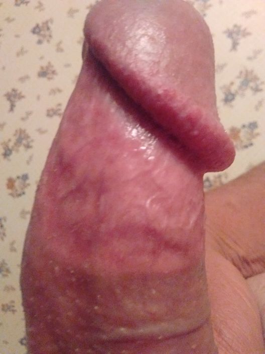 who wants this hard cock?