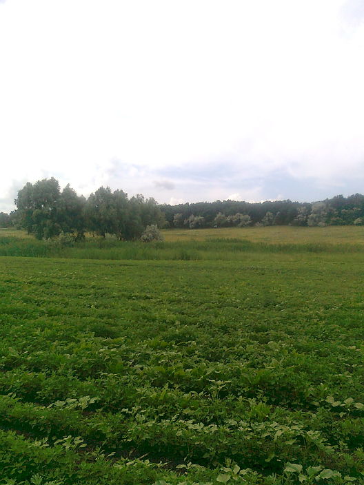 Здесь бы затеряться...