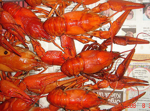 я на море