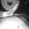 My Dick