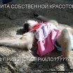 яяя
