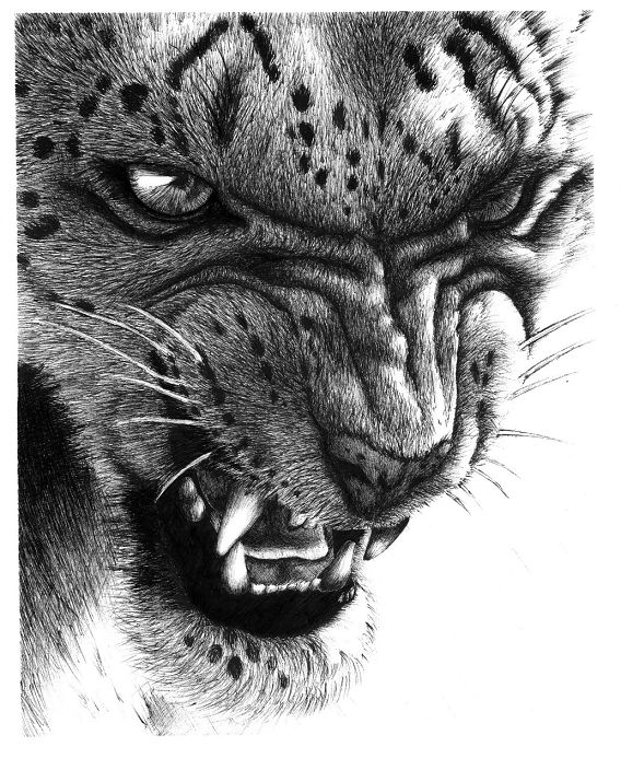 Фото вышлю при знакомстве