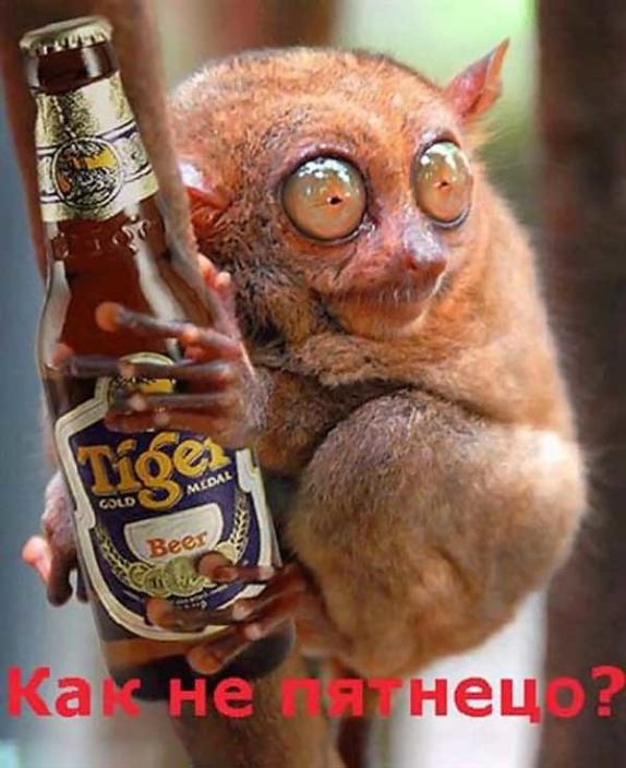 привет