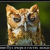 Я такой