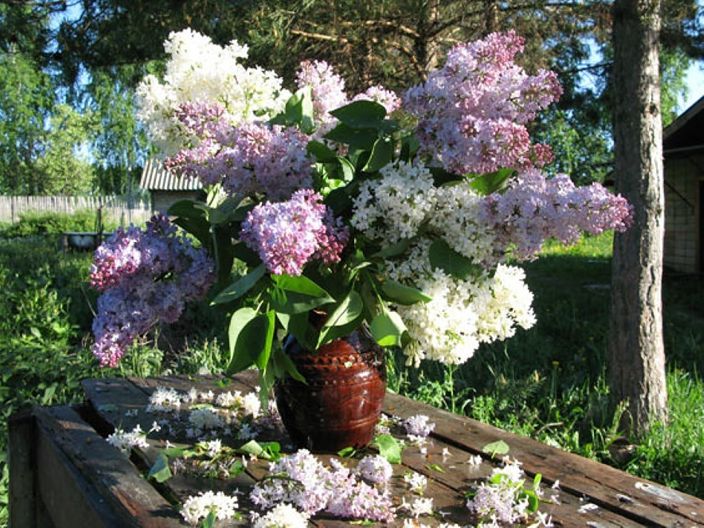 =)...................