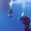 diving read sea