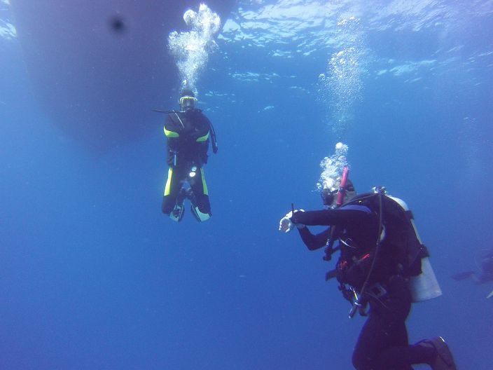 diving read sea