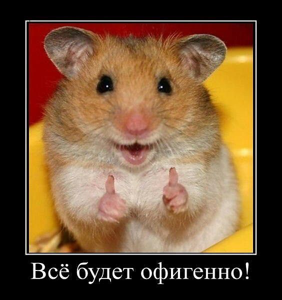 ну как?