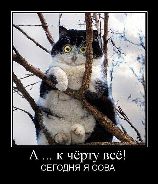 Вот