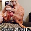 весь в меня