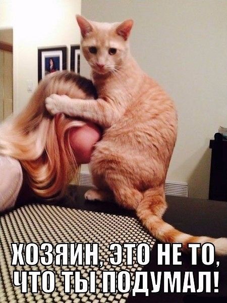 весь в меня