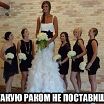 мои