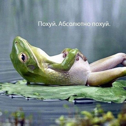 Ничем не хуже