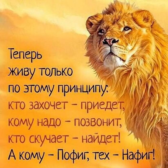ЛЕВЬ
