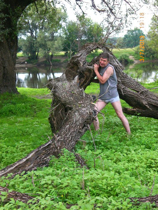 в лес