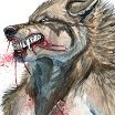 Lfsaa