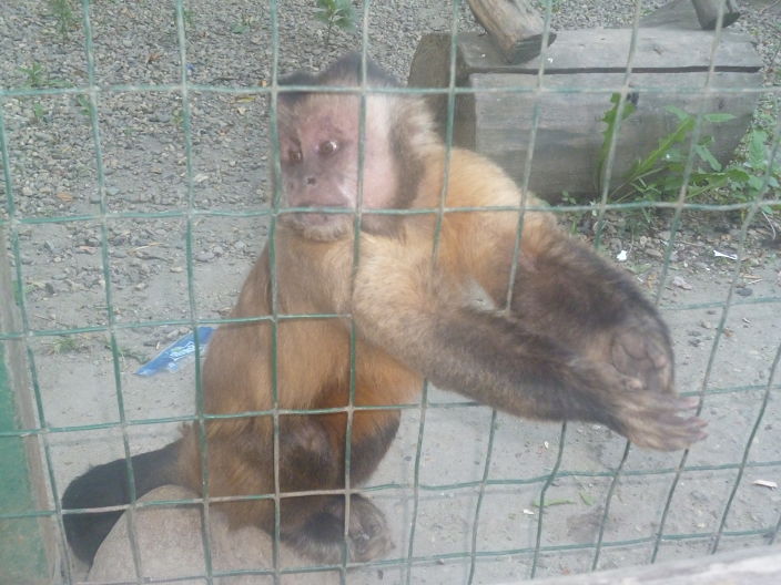 как то так)))