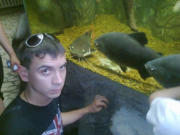 моё