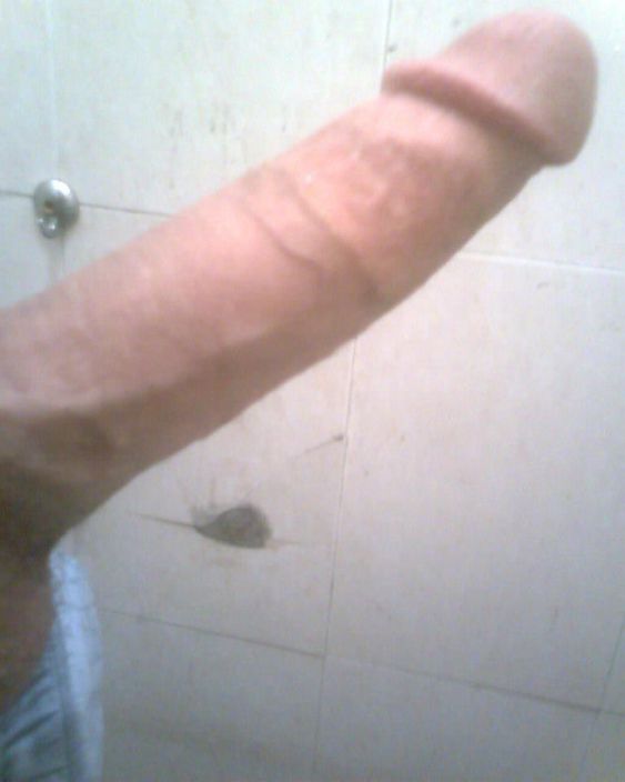 my cock