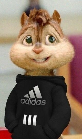 ....