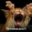 утро