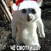 Познакомлюсь с девушкой