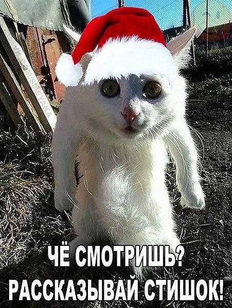 Познакомлюсь с девушкой