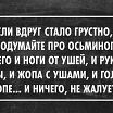 все