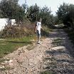 )))
