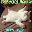 вот так
